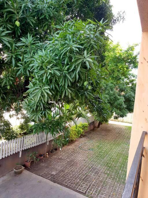 Central Upscale New Kingston Apt With Pool Dış mekan fotoğraf